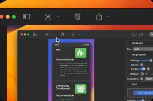 Screenshot menu
